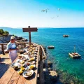 Фото по теме: Где попробовать устриц в Крыму ферма в Кацивели отзывы и цены