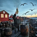 Фото по теме: Из какой рыбы делают сюрстрёмминг в Швеции история и запах блюда