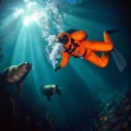Фото по теме: Как поплавать с морскими котиками в Кейптауне дайвинг в ледяной воде