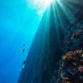 Фото по теме: Где в Дахабе лучшие места для фридайвинга Blue Hole