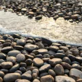 Фото по теме: На каких пляжах Черного моря можно найти гладкие камни подходящие для росписи акриловыми маркерами
