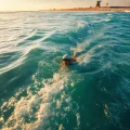 Фото по теме: Что делать если течением уносит в открытое море как выплыть из рипа отбойного течения