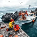 Фото по теме: Как организовать рыбалку на краба в Баренцевом море легальные туры